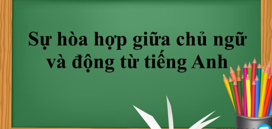 Các quy tắc về sự hòa hợp giữa chủ ngữ và động từ tiếng Anh cô đọng (2025)