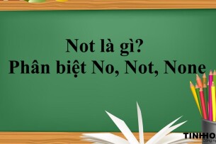 Not là gì? | Định nghĩa,  Phân biệt No Not None và bài tập vận dụng (2025)