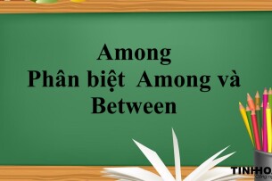 Among là gì? | Phân biệt  Among và Between - Bài tập vận dụng (2025)