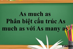 As much as là gì? | Cấu trúc - Cách dùng- Phân biệt cấu trúc As much as với As many as - Bài tập vận dụng (2025)