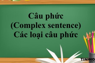 Câu phức (Complex sentence) | Khái niệm - Cách dùng -Các loại câu phức trong tiếng Anh - Bài tập vận dụng (2025)