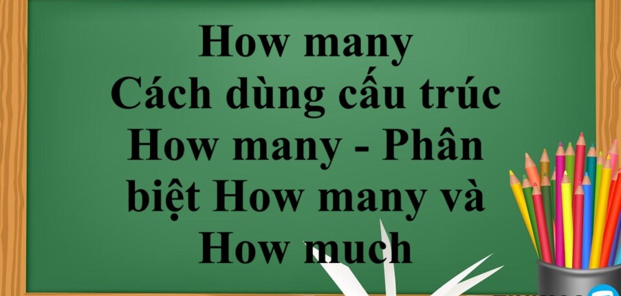 How many dùng để làm gì? |Cách dùng cấu trúc How many - Phân biệt How many và How much - Bài tập vận dụng