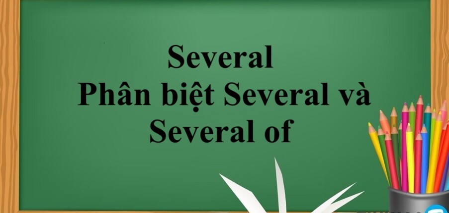 Several là gì? | Định nghĩa - Cách dùng - Phân biệt Several và Several of - Bài tập vận dụng