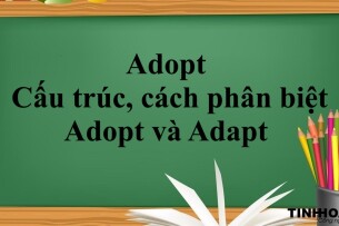 Adopt là gì? | Cấu trúc, cách phân biệt Adopt và Adapt trong tiếng anh và bài tập vận dụng (2025)