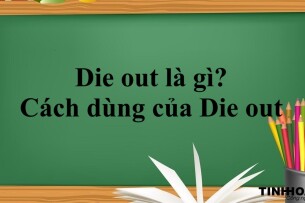 Die out là gì? | Định nghĩa, cấu trúc và cách dùng của Die out - Bài tập vận dụng (2025)