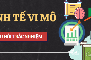 Đề thi Kinh tế vi mô | UFM - Trường Đại học Tài chính - Marketing