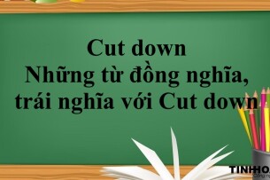 Cut down là gì? | Định nghĩa - Cấu trúc - Những từ đồng nghĩa, trái nghĩa với Cut down - Bài tập vận dụng