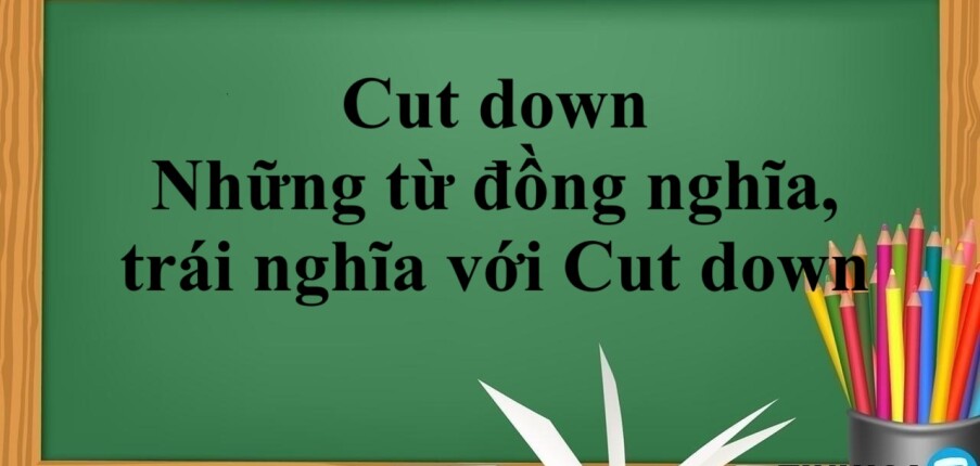 Cut down là gì? | Định nghĩa - Cấu trúc - Những từ đồng nghĩa, trái nghĩa với Cut down - Bài tập vận dụng