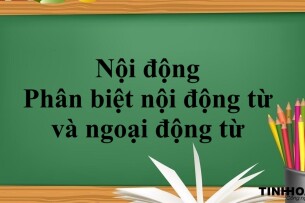 Nội động từ là gì? | Cấu trúc - phân biệt nội động từ và ngoại động từ trong tiếng anh - Bài tập vận dụng