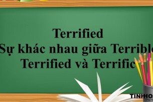 Terrified là gì? | Sự khác nhau giữa Terrible, Terrified và Terrific - Bài tập vận dụng (2025)