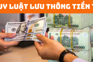 Khái niệm quy luật lưu thông tiền tệ? Vai trò và ví dụ về quy luật lưu thông tiền tệ