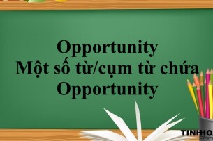 Opportunity là gì? | Định nghĩa, cách dùng và một số từ/cụm từ chứa Opportunity (2025)