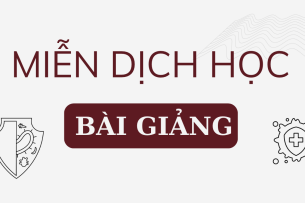 Bài giảng PPT (Power Point) học phần Miễn dịch học | SLIDE | Đại học Bách Khoa Hà Nội (2025)