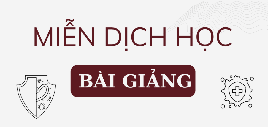 Bài giảng PPT (Power Point) học phần Miễn dịch học | SLIDE | Đại học Bách Khoa Hà Nội