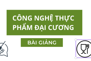 Bài giảng PPT (Power Point) học phần Công nghệ thực phẩm đại cương  | SLIDE | Đại học Bách Khoa Hà Nội (2025)