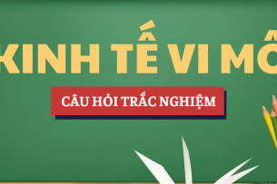 Bài tập trắc nghiệm môn Kinh tế vi mô | Câu hỏi ôn tập trắc nghiệm | UEH - Trường Đại học Kinh tế TP. Hồ Chí Minh