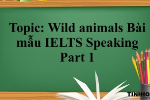 Topic: Wild animals | Bài mẫu IELTS Speaking Part 1 (2025)