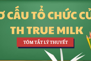 Tóm tắt lý thuyết Cơ cấu tổ chức của Công ty Cổ phần Thực phẩm sữa TH - TH true MILK | Học phần Quản lý học | NEU - Trường Đại học Kinh tế Quốc dân