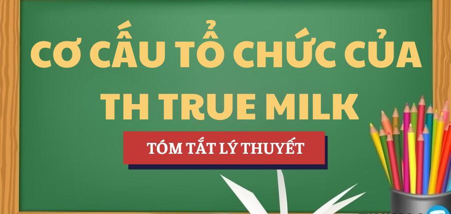 Tóm tắt lý thuyết Cơ cấu tổ chức của Công ty Cổ phần Thực phẩm sữa TH - TH true MILK | Học phần Quản lý học | NEU - Trường Đại học Kinh tế Quốc dân