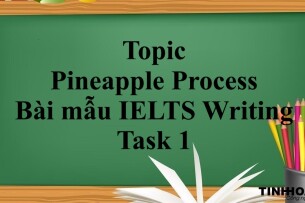 Topic: Pineapple Process | Bài mẫu IELTS Writing Task 1 (2025)