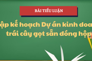 Lập kế hoạch Dự án kinh doanh trái cây gọt sẵn đóng hộp | Tiểu luận Khởi sự kinh doanh | TLU - Trường Đại học Thăng Long