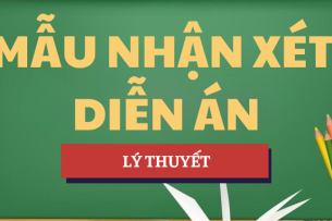 Mẫu nhận xét diễn án | Học phần Hàng không dân dụng | VAA - Học viện Hàng không Việt Nam