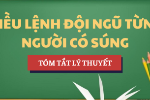 Tóm tắt lý thuyết về Điều lệnh đội ngũ từng người có súng | Học phần Quốc phòng | HCMUE - Trường Đại học Sư phạm Thành phố Hồ Chí Minh