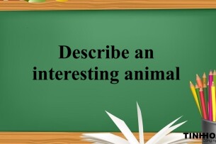 Describe an interesting animal | Bài mẫu IELTS Speaking Part 2,3 (2025)