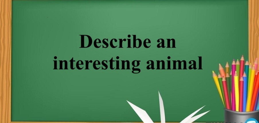 Describe an interesting animal | Bài mẫu IELTS Speaking Part 2,3