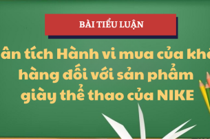 Phân tích Hành vi mua của khách hàng đối với sản phẩm giày thể thao của NIKE | Tiểu luận Hành vi khách hàng | Trường Đại Học Thủ Dầu Một