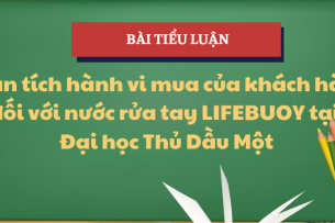 Phân tích Hành vi mua của khách hàng đối với sản phẩm nước rửa tay LIFEBUOY tại Đại học Thủ Dầu Một | Tiểu luận Hành vi khách hàng | Trường Đại Học Thủ Dầu Một (2025)