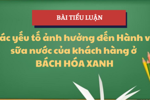 Các yếu tố ảnh hưởng đến Hành vi sữa nước của khách hàng ở Bách Hóa Xanh | Tiểu luận Hành vi khách hàng | IUH - Đại học Công nghiệp TP.HCM