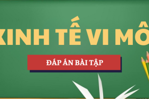 Đáp án bài tập Độ co giãn của cầu theo giá | Bài tập Kinh tế vi mô | Tổng hợp các trường đại học