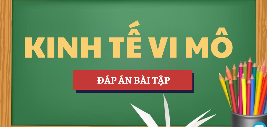 Đáp án bài tập Độ co giãn của cầu theo giá | Bài tập Kinh tế vi mô | Tổng hợp các trường đại học