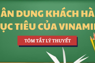 Tóm tắt lý thuyết Chân dung khách hàng mục tiêu của Vinamilk | Học phần Nghiên cứu thị trường | UEF - Trường Đại học Kinh tế - Tài chính Thành phố Hồ Chí Minh