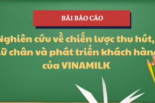 Báo cáo Chiến lược thu hút khách hàng của Vinamilk | Học phần Quản trị quan hệ khách hàng | Trường Đại học Kinh tế, Đại học Đà Nẵng