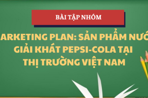 Phân tích mô hình 5C, SWOT, STP và đưa ra chiến lược Marketing sản phẩm nước giải khát Pepsi-Cola tại thị trường Việt Nam | Bài tập nhóm Marketing căn bản | FTU - Trường Đại học Ngoại Thương