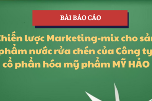 Chiến lược Marketing-mix cho sản phẩm nước rửa chén của Công ty cổ phẩn hóa mỹ phẩm Mỹ Hảo | Học phần Thực hành nghề nghiệp 1 | UFM - Trường Đại học Tài chính - Marketing