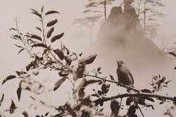 Quan niệm về thời gian trong văn học trung đại