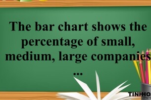 The bar chart shows the percentage of small, medium, large companies which used social media for business purposes between 2012 to 2016 | Bài mẫu IELTS Writing Task 1