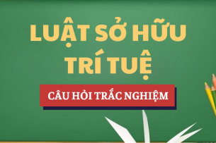 Bài tập trắc nghiệm Luật sở hữu trí tuệ | Câu hỏi ôn tập trắc nghiệm | Trường Đại học Luật TP.Hồ Chí Minh