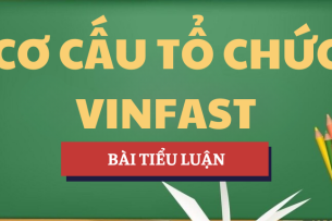 Tiểu luận Cơ cấu tổ chức của Vinfast | Học phần Quản lý học | NEU- Trường Đại học Kinh tế Quốc dân (2025)
