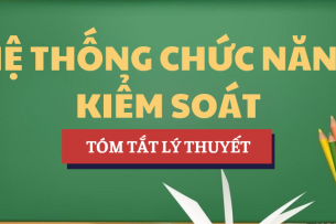 Tóm tắt lý thuyết Hệ thống chức năng kiểm soát | Học phần Quản trị học | AOF - Học viện Tài chính (2025)