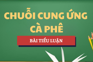 Tiểu luận Phân tích quản lý chuỗi cung ứng cà phê Việt Nam | Học phần Nguyên lý cơ bản Logistics và quản lý chuỗi cung ứng | Trường Đại học Thăng Long