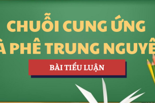 Tiểu luận Chuỗi cung ứng cà phê Trung Nguyên | Học phần Quản trị chuỗi cung ứng | TMU - Trường Đại học Thương Mại