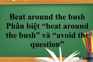 Beat around the bush là gì? | Cách dùng - Phân biệt “beat around the bush” và “avoid the question” -Bài tập vận dụng (2025)