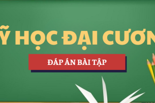 Đáp án bài tập Mỹ học Đại cương | Đại học Khoa học Xã hội và Nhân văn, ĐHQG TP. Hồ Chí Minh