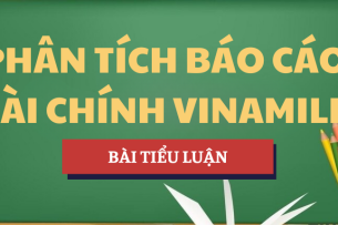 Tiểu luận Phân tích báo cáo tài chính Công ty Cổ phần sữa Vinamilk năm 2019-2021 | Học phần Tài chính doanh nghiệp | APD -  Học viện Chính sách và Phát triển