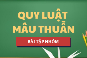 Chứng minh bằng thực tế: Mâu thuẫn là nguồn gốc và động lực của sự phát triển. Liên hệ với bản thân. | Bài tập nhóm Triết học Mác-Lênin | BA - Học viện Ngân hàng