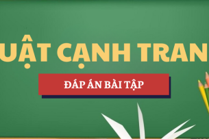 Đáp án bài tập Luật cạnh tranh | Trường Đại học Luật Thành phố Hồ Chí Minh (2025)